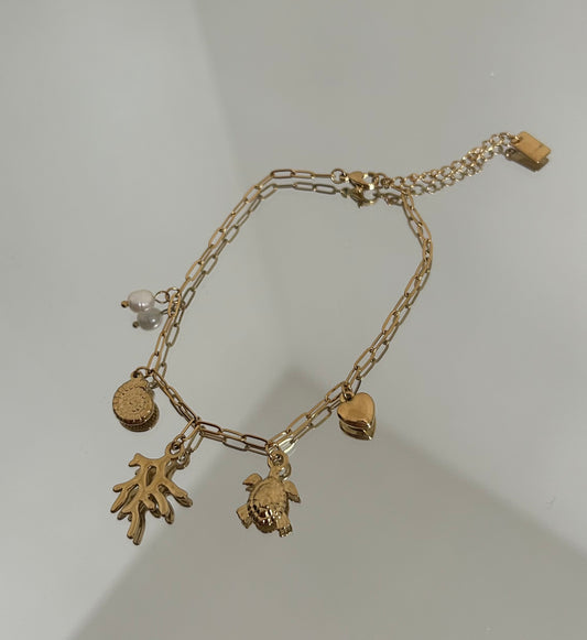 Chaîne cheville